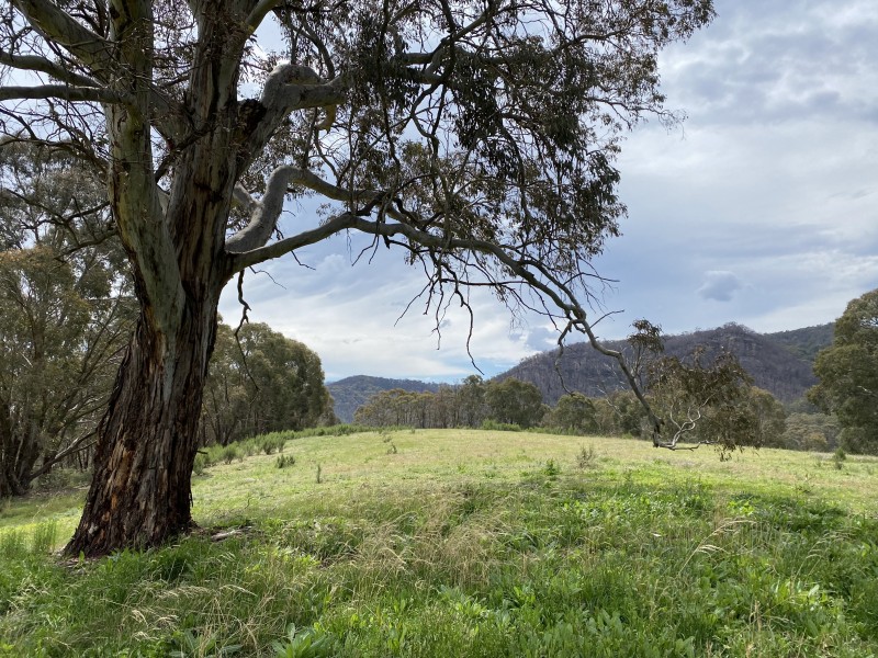 104 Springvale Lane, Lidsdale NSW 2790