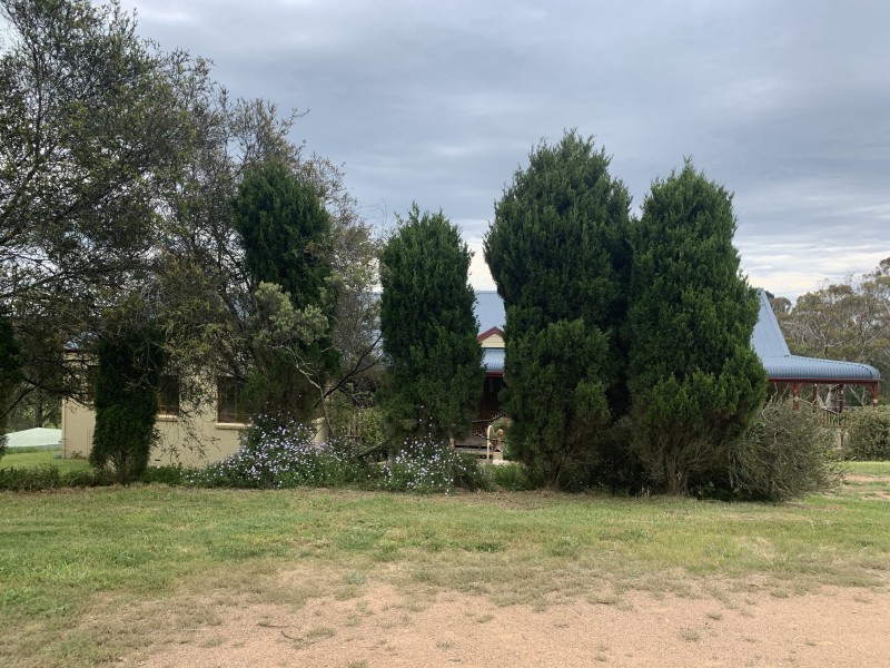 50 Old Bindo Road, Hampton NSW 2790