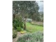 1199 Ganbenang Road, Lowther NSW 2790