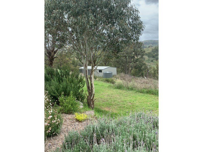 1199 Ganbenang Road, Lowther NSW 2790