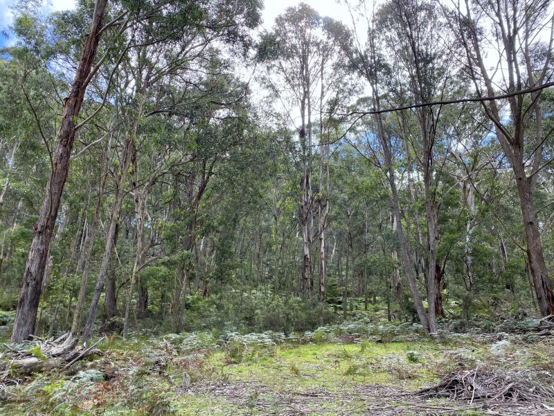 3372 Great Western Highway, South Bowenfels NSW 2790