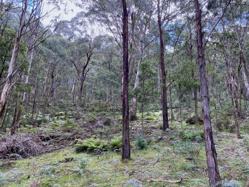 3372 Great Western Highway, South Bowenfels NSW 2790