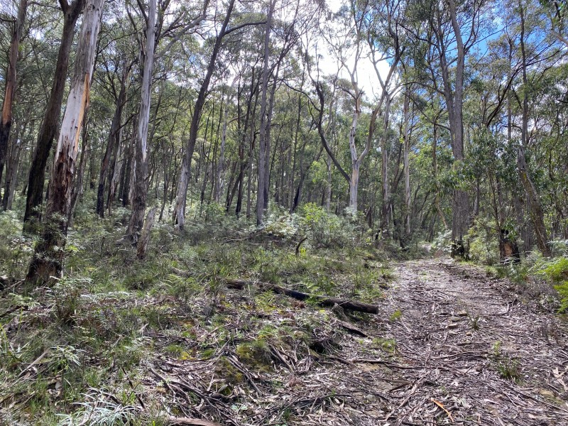 3372 Great Western Highway, South Bowenfels NSW 2790