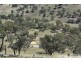 2012 Turondale Road, Turondale NSW 2795