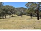 2012 Turondale Road, Turondale NSW 2795