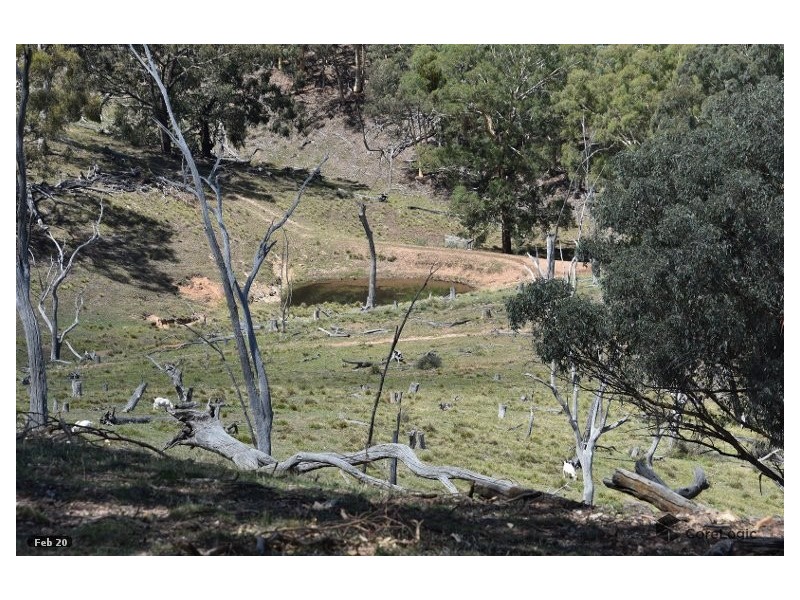 2012 Turondale Road, Turondale NSW 2795