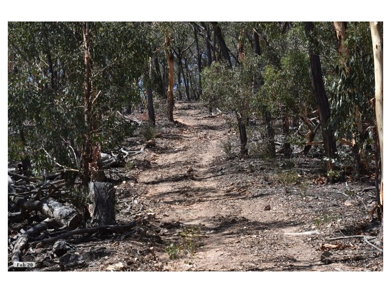 2012 Turondale Road, Turondale NSW 2795