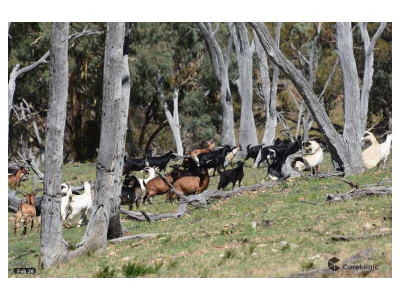 2012 Turondale Road, Turondale NSW 2795