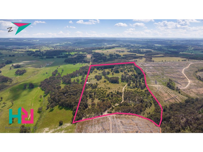 225 Bastard Point Road, Gingkin NSW 2787