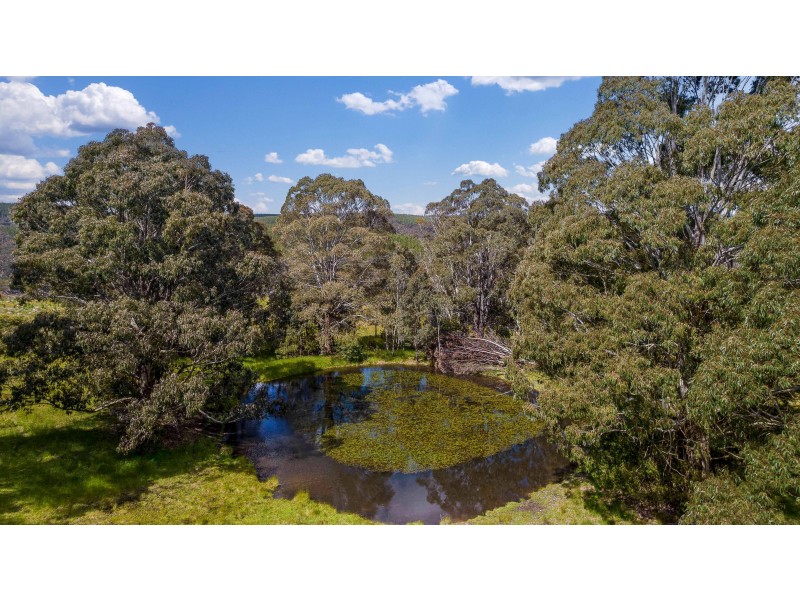 225 Bastard Point Road, Gingkin NSW 2787