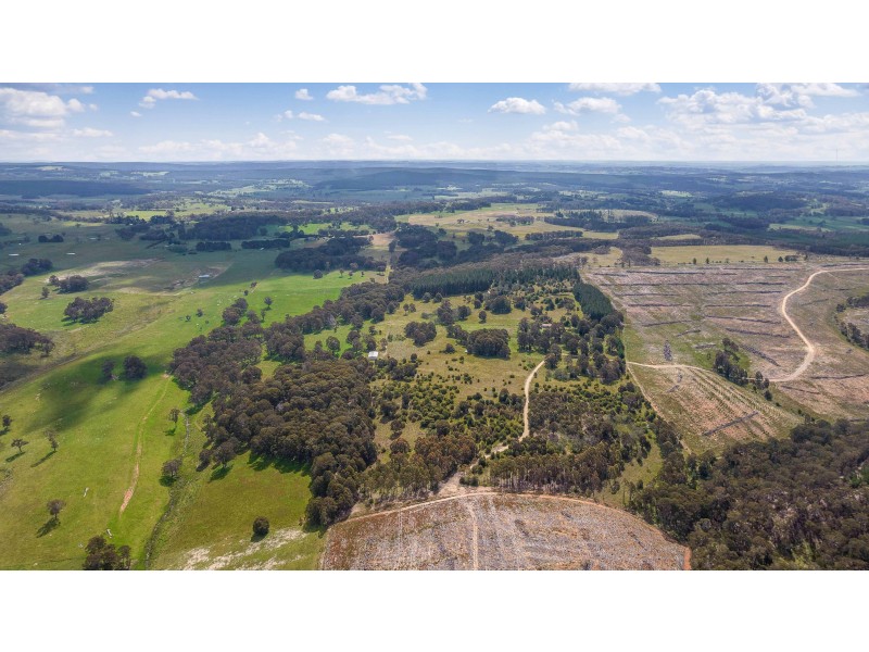 225 Bastard Point Road, Gingkin NSW 2787