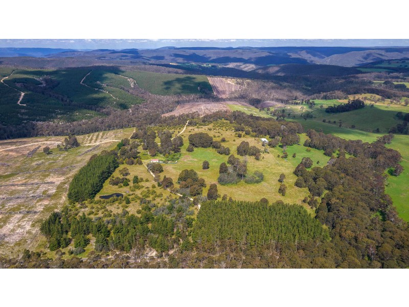 225 Bastard Point Road, Gingkin NSW 2787