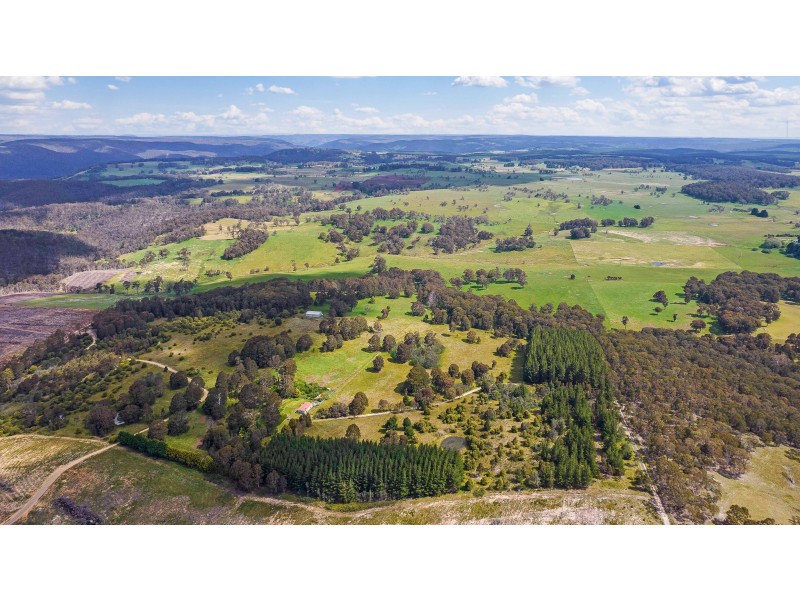 225 Bastard Point Road, Gingkin NSW 2787