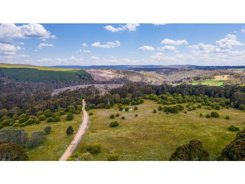 225 Bastard Point Road, Gingkin NSW 2787