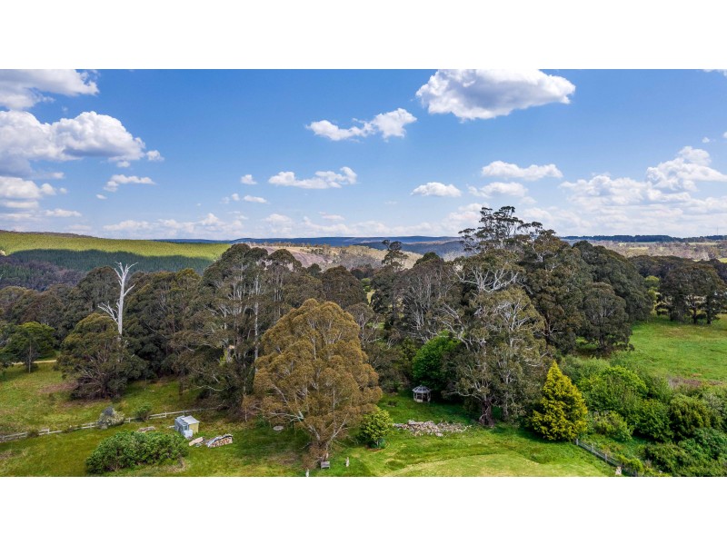 225 Bastard Point Road, Gingkin NSW 2787
