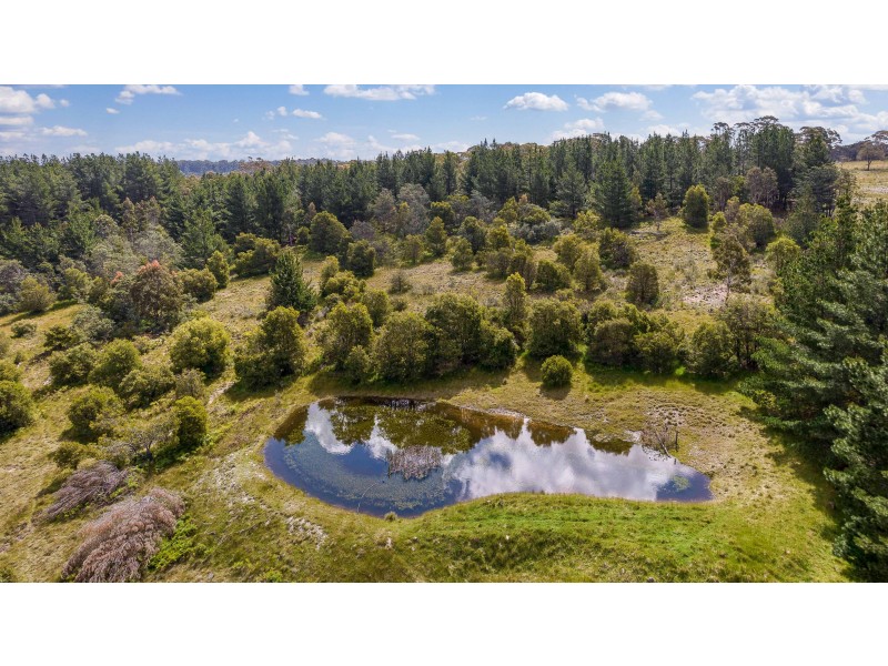 225 Bastard Point Road, Gingkin NSW 2787