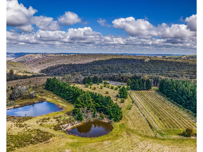 499 Razorback Road, Running Stream NSW 2850