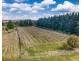 499 Razorback Road, Running Stream NSW 2850