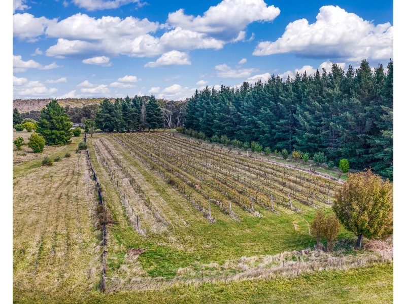 499 Razorback Road, Running Stream NSW 2850