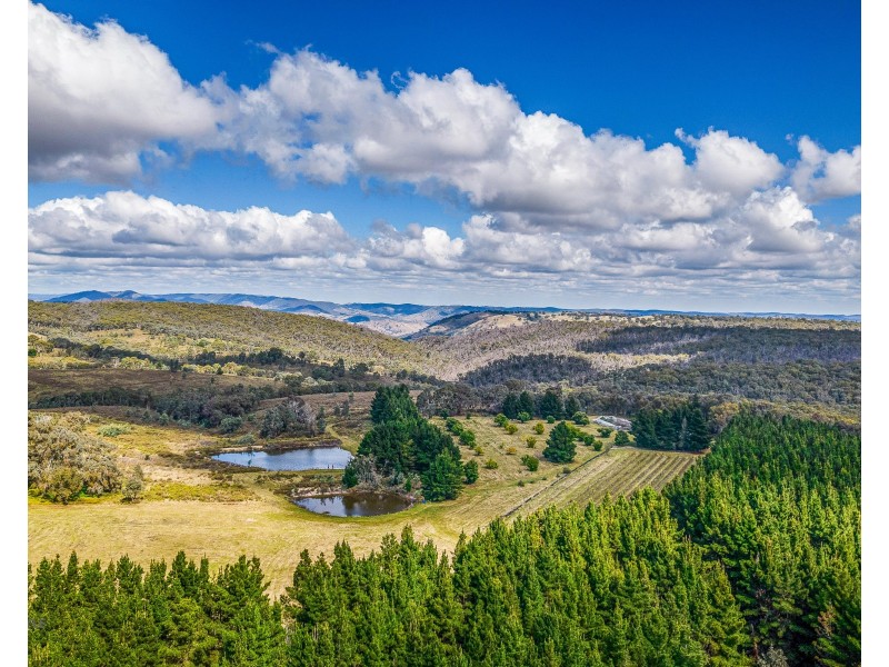 499 Razorback Road, Running Stream NSW 2850