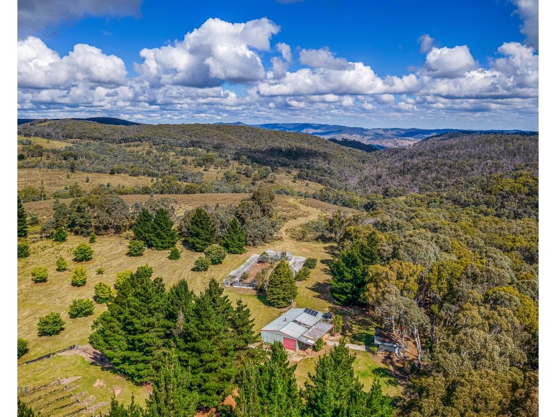 499 Razorback Road, Running Stream NSW 2850