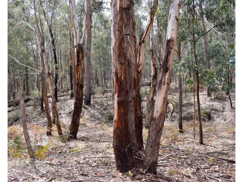 450 Browns Gap Road, Hartley NSW 2790