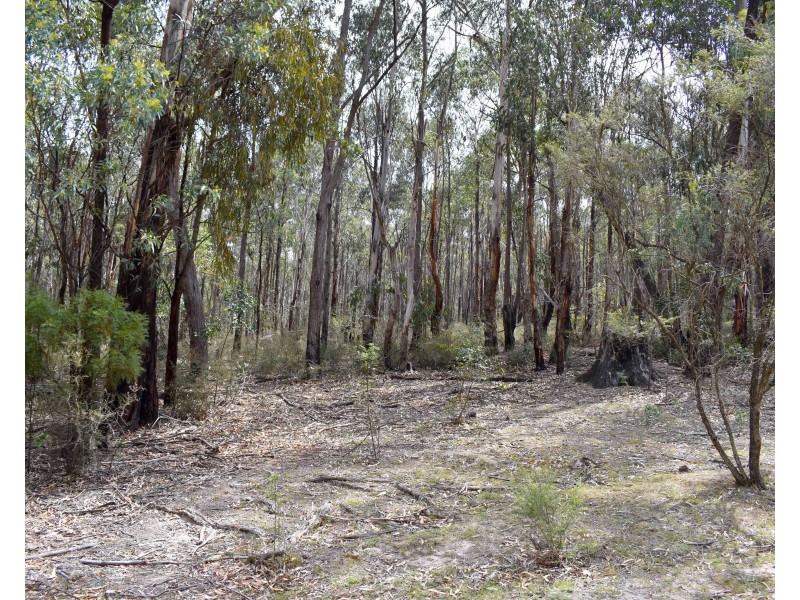 450 Browns Gap Road, Hartley NSW 2790