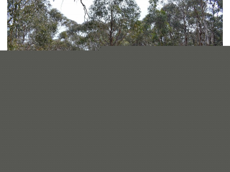 450 Browns Gap Road, Hartley NSW 2790