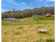 Sunny Corner NSW 2795