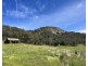 427 Cullenbenbong Road, Ganbenang NSW 2790