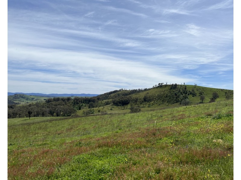 427 Cullenbenbong Road, Ganbenang NSW 2790