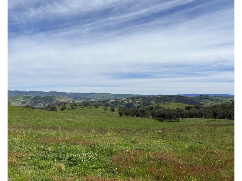 427 Cullenbenbong Road, Ganbenang NSW 2790