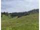 427 Cullenbenbong Road, Ganbenang NSW 2790