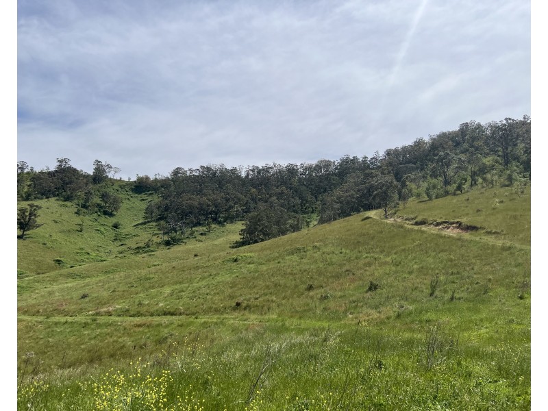 427 Cullenbenbong Road, Ganbenang NSW 2790