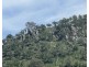 427 Cullenbenbong Road, Ganbenang NSW 2790