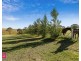131 John Grant Road, Little Hartley NSW 2790