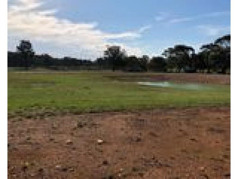 11 Bruwalin Place, Hartley NSW 2790