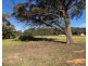 11 Bruwalin Place, Hartley NSW 2790