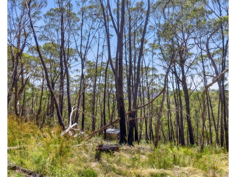 127 Mount York Road, Mount Victoria NSW 2786