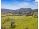 542 Browns Gap Road, Hartley NSW 2790