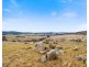 639 Sodwalls Road, Tarana NSW 2787