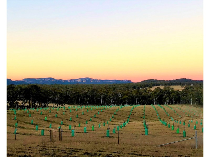 101 Lochaber Road, Capertee NSW 2846