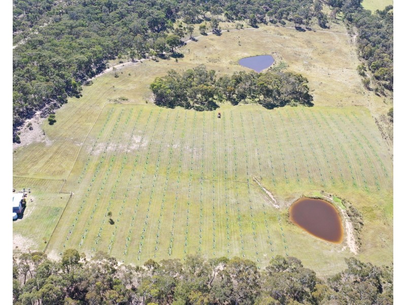 101 Lochaber Road, Capertee NSW 2846