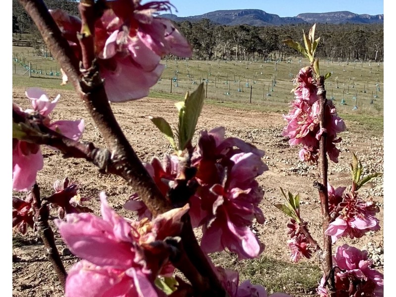 101 Lochaber Road, Capertee NSW 2846