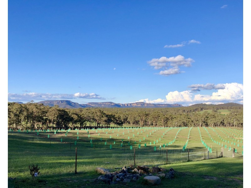 101 Lochaber Road, Capertee NSW 2846