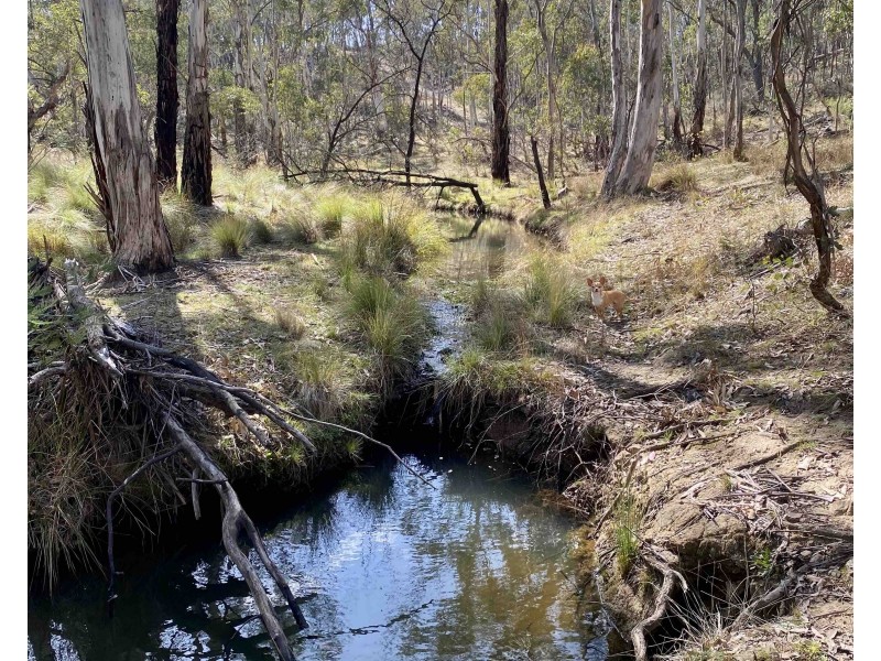 101 Lochaber Road, Capertee NSW 2846