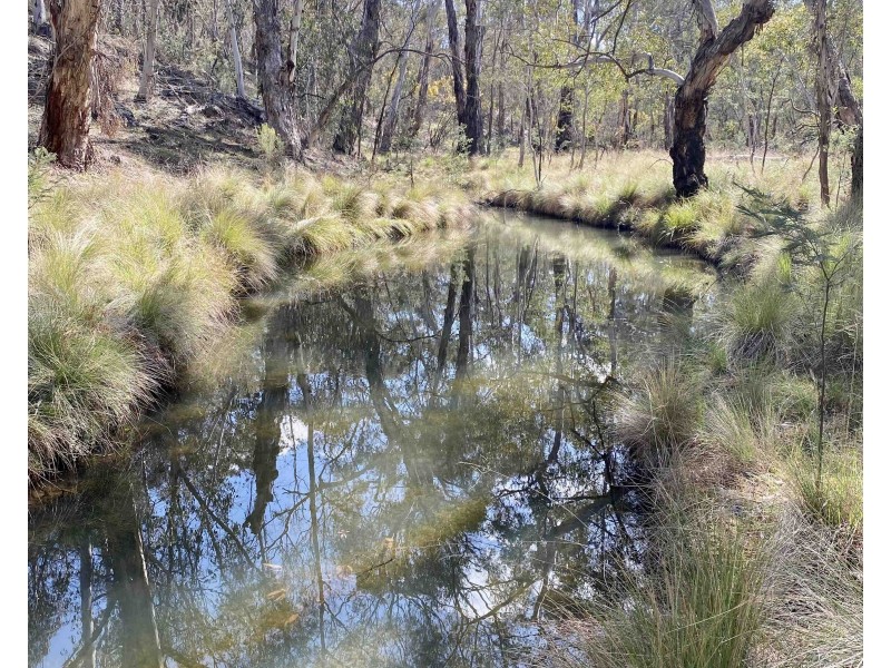 101 Lochaber Road, Capertee NSW 2846