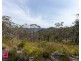 222-228 Darling Causeway, Bell NSW 2786