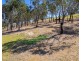 193 Megalong Place, Kanimbla NSW 2790