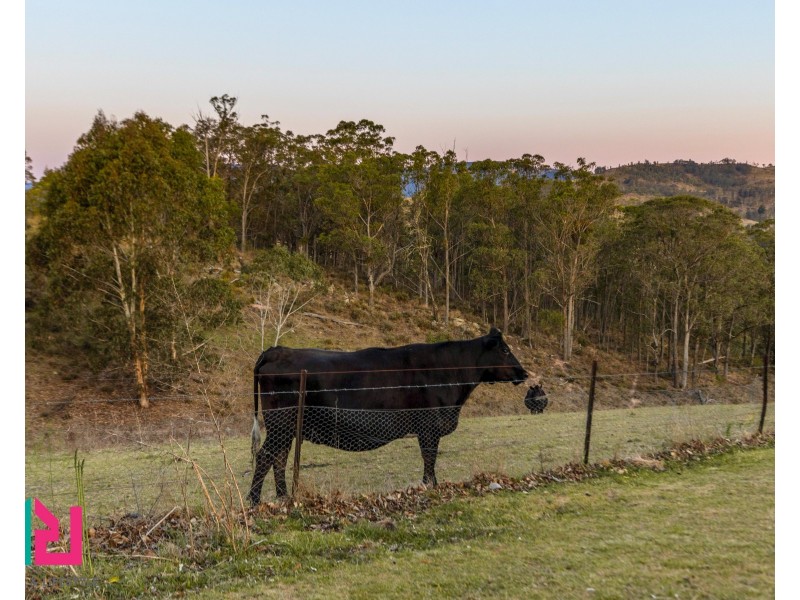 193 Megalong Place, Kanimbla NSW 2790